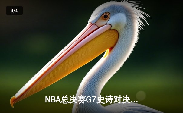 NBA总决赛G7史诗对决：掘金加时险胜热火卫冕成功 约基奇三双封神 - 4